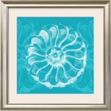Buy Chromatic Rosette III at AllPosters.com