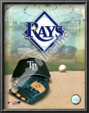 2008 Tampa Bay Rays Team Logo Lamina Framed Art Print