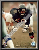 Mike Singletary