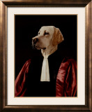 The Advocate
