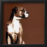 Buy Boxer at AllPosters.com
