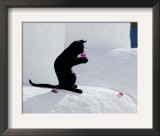 Buy Cat and Flower at AllPosters.com