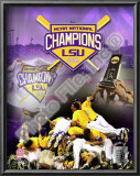 Louisiana State University Tigers 2009 NCAA Baseball Champions
