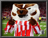 University of Wisconsin Badgers Mascot 2008