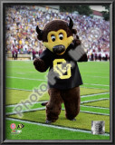 University of Colorado Buffaloes Mascot 2004