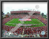 Raymond James Stadium 2008