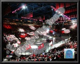 Joe Louis Arena - 