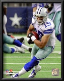 Miles Austin 2010 Action
