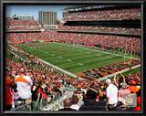 Paul Brown Stadium 2009