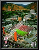 Rice-Eccles Stadium University of Utah Utes 2008