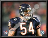 Brian Urlacher
