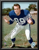 Gino Marchetti