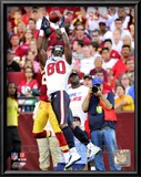 Andre Johnson 2010 Action