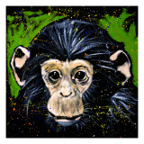 Buy Bonobo Monkey at AllPosters.com