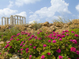 The Ruins of the Poseidon Temple at Cape Sounion Amd Pink Geraniums