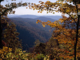 A Blue Ridge Mountain Escarpment Framed by Maple Trees in Autumn Hues