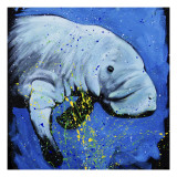 Buy Manatee at AllPosters.com