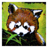 Red Panda