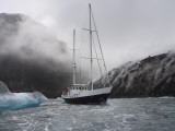 Steam from Hot Volcanic Rock - Brand New Land - Rises Behind a Yacht