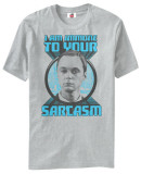 Big Bang Theory - Sheldon Sarcasm