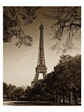 An Afternoon Stroll in Paris II