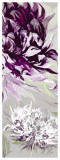 Purple Allure II