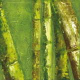 Bamboo Columbia I