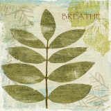 Buy Woodland Thoughts IV at AllPosters.com