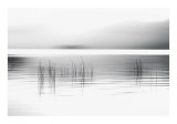Tranquil Dawn
