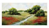 Buy Kissimmee Grasslands at AllPosters.com
