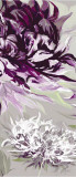 Purple Allure II