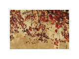 Buy Colorful Season I at AllPosters.com