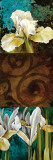 Buy From My Garden I at AllPosters.com