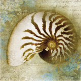 Buy Nautical Beauty at AllPosters.com