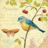 Garden Passion IV