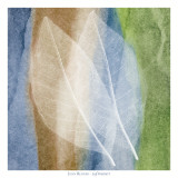 Leaf Structure I