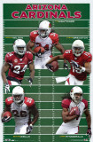 Cardinals - Group 2010