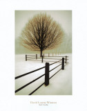 Buy Solitude at AllPosters.com