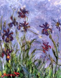 Buy Irises at AllPosters.com