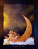 Reach for the Stars