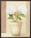 Buy Hydrangeas in White Pot at AllPosters.com