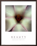 Buy Beauty at AllPosters.com