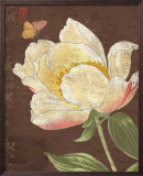Garden Peony II