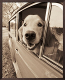 Are We There Yet