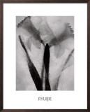 Buy Twins Forever at AllPosters.com