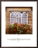 Buy Yorkshire Blooms at AllPosters.com