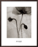 Buy Dancing in Bubbles at AllPosters.com