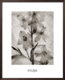 Buy Glass Petals at AllPosters.com