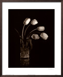 Buy Dramatic Tulips at AllPosters.com