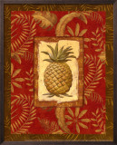 Exotica Pineapple